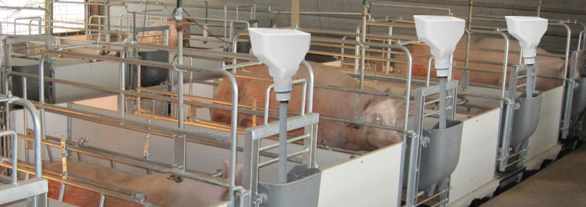 feed hopper hog barn