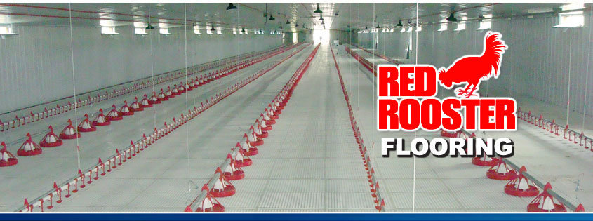 Red Rooster Overlapping Flooring