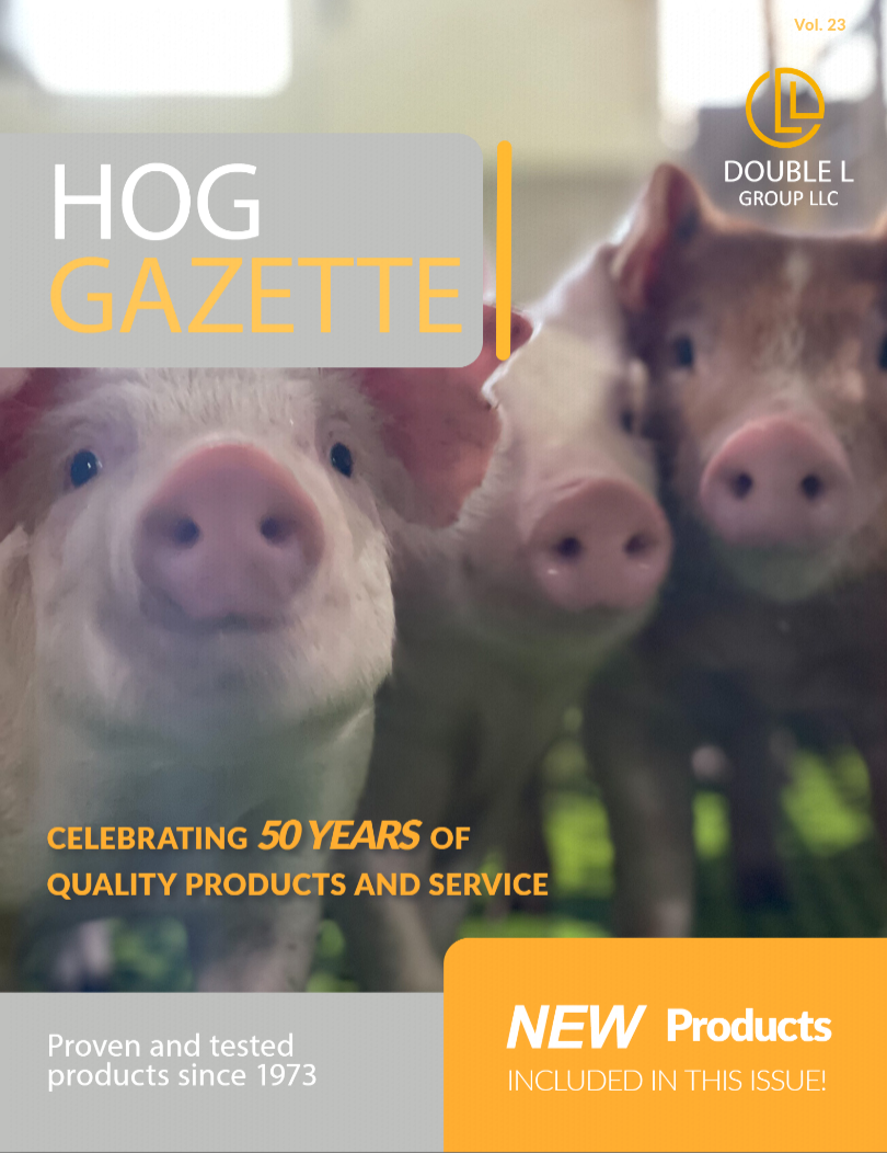 Catalogs Home catalogs-home